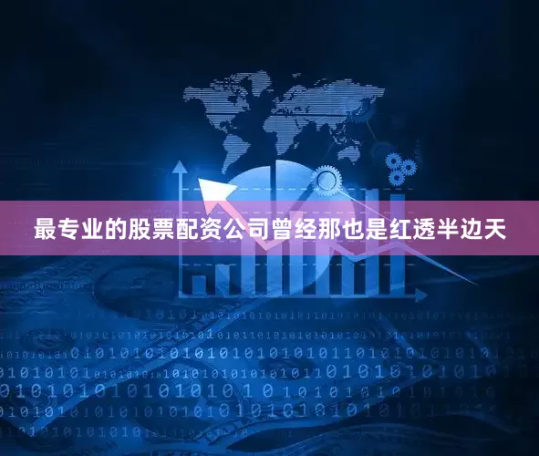 最专业的股票配资公司曾经那也是红透半边天