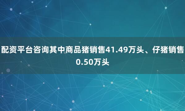 配资平台咨询其中商品猪销售41.49万头、仔猪销售0.50万头