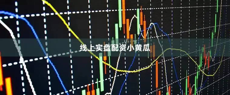 线上实盘配资小黄瓜